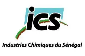 Logo ICS